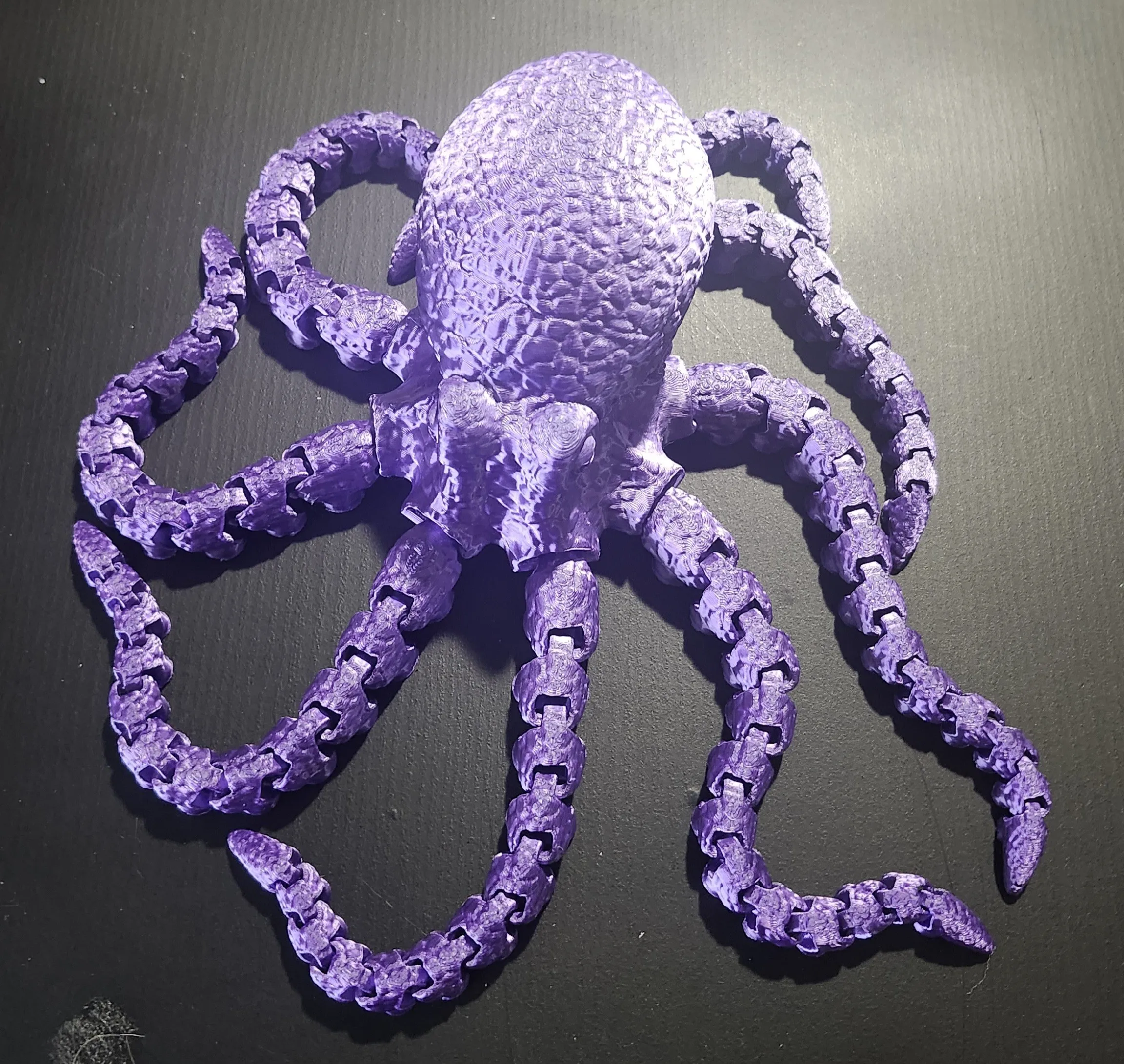 Octopus 2.0-1