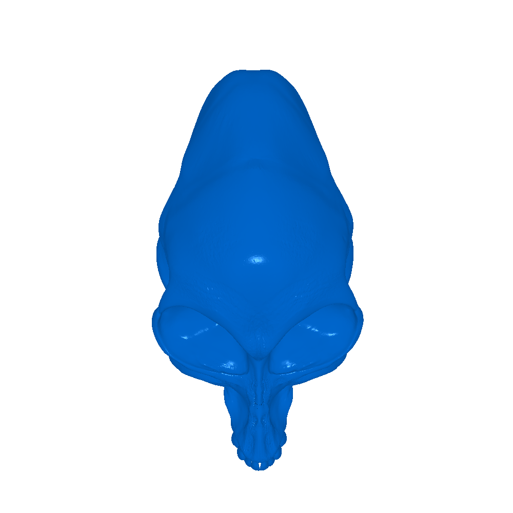 Indiana Jones crystal skull