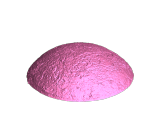Venus Hound-1