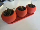 Planter Set V1-2