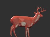 deer-4