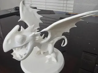 storm fly