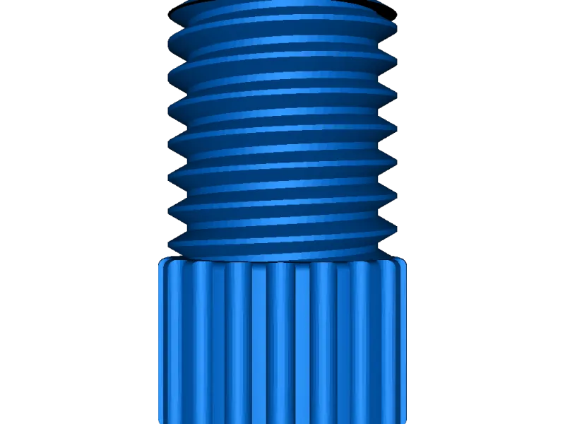 T2