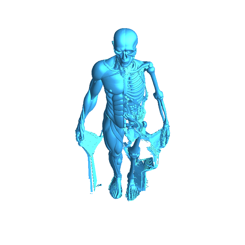 Human Body Educational Model - Education - PLA - 3D printed product - фото 8
