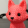avatar of Jezyta81