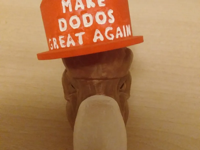 Dodo hat