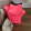 avatar of J-Dawgdizzlefizz