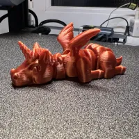 Lazy Horses-2