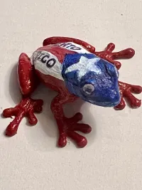 Frog-1