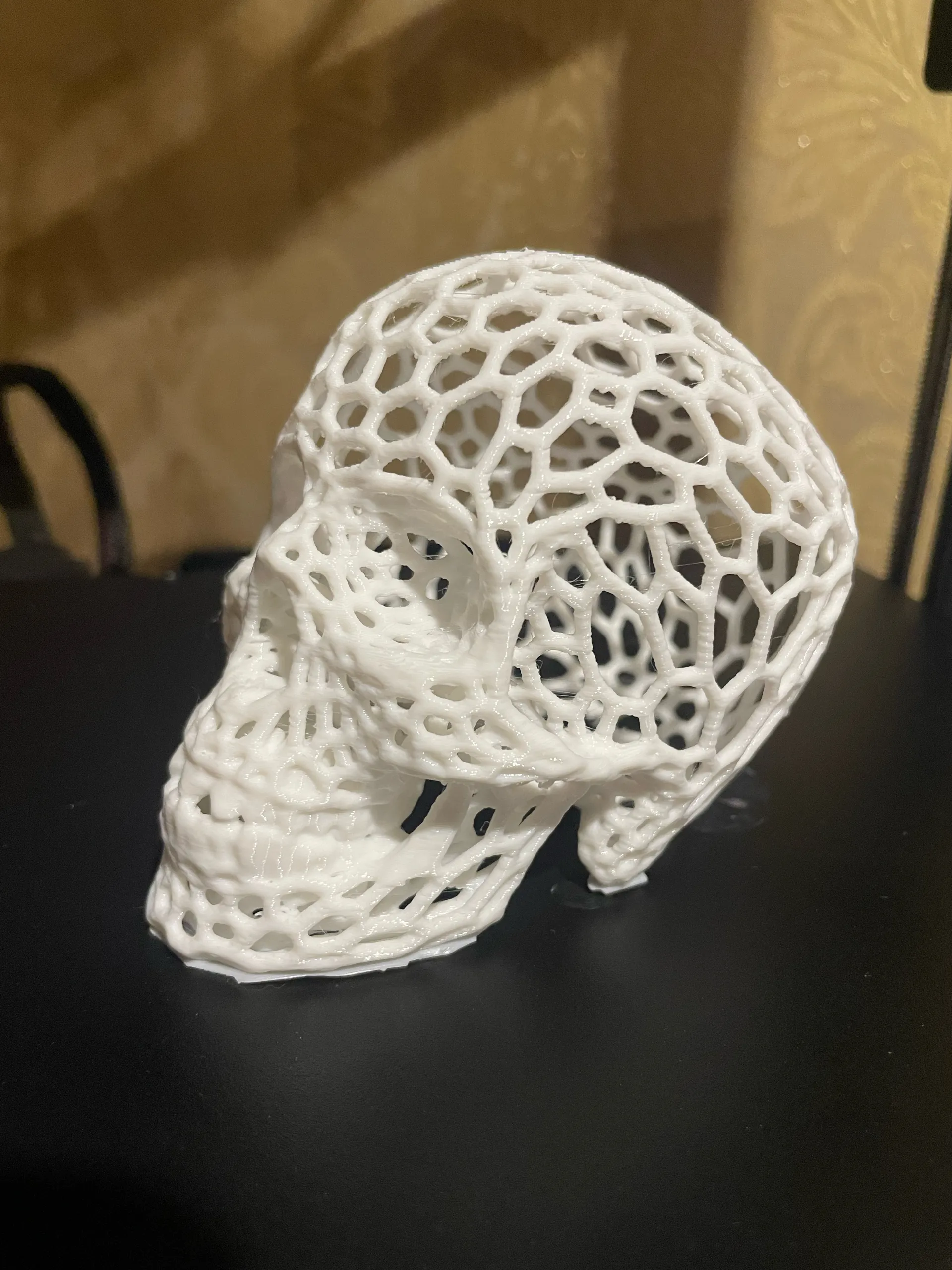 Voronoi-style Skull with no supports-0