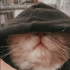 avatar of pão de alho.