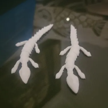 Dead Lizard-1