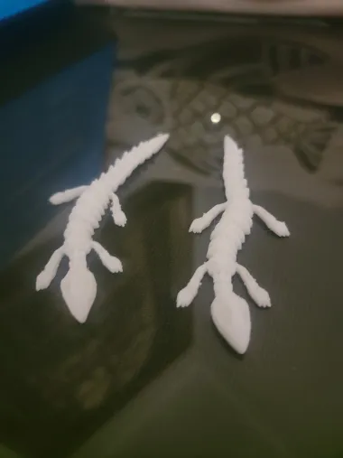 Dead Lizard-1