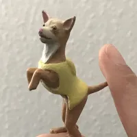 Cute standing Chihuahua Dog-2