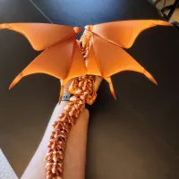 Silver Dragon-1