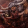 avatar of rc 40k
