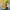 Banco de Bananas de Battle Nations