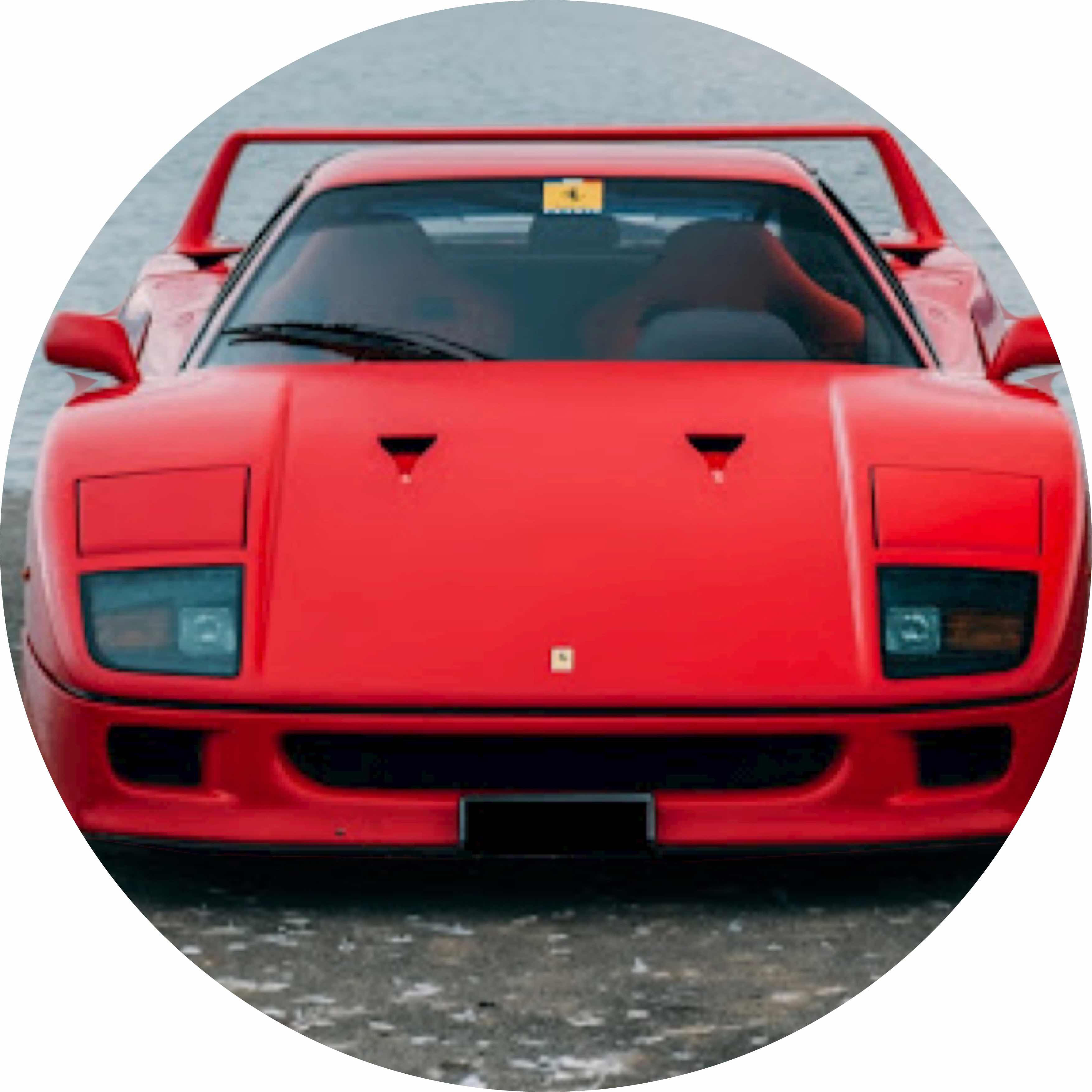 avatar of BucklesRealOwner