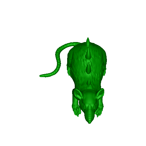 Rat