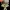 Dai Gui 3D Model - Jackie Chan Adventures Villain