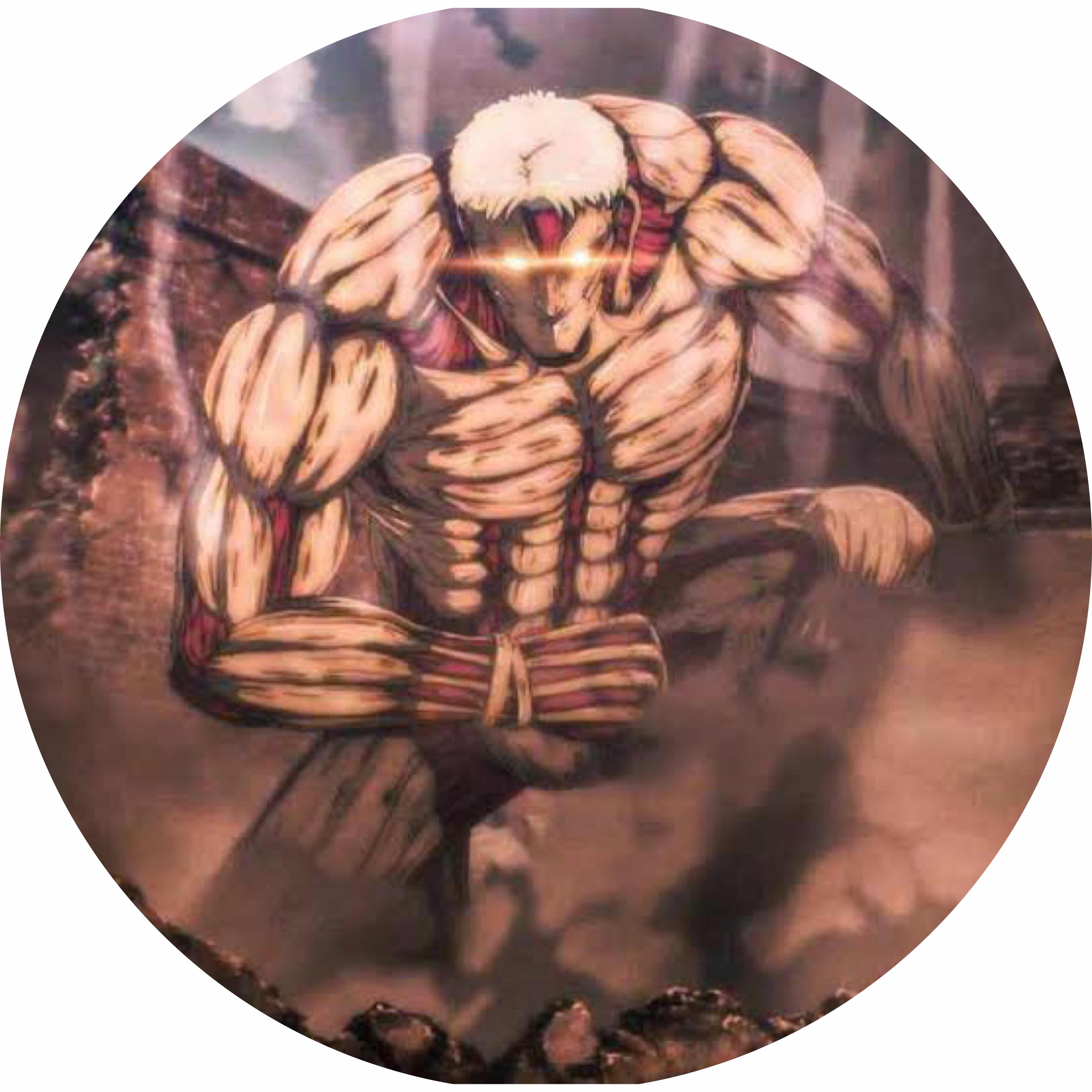 avatar of ReinerB24