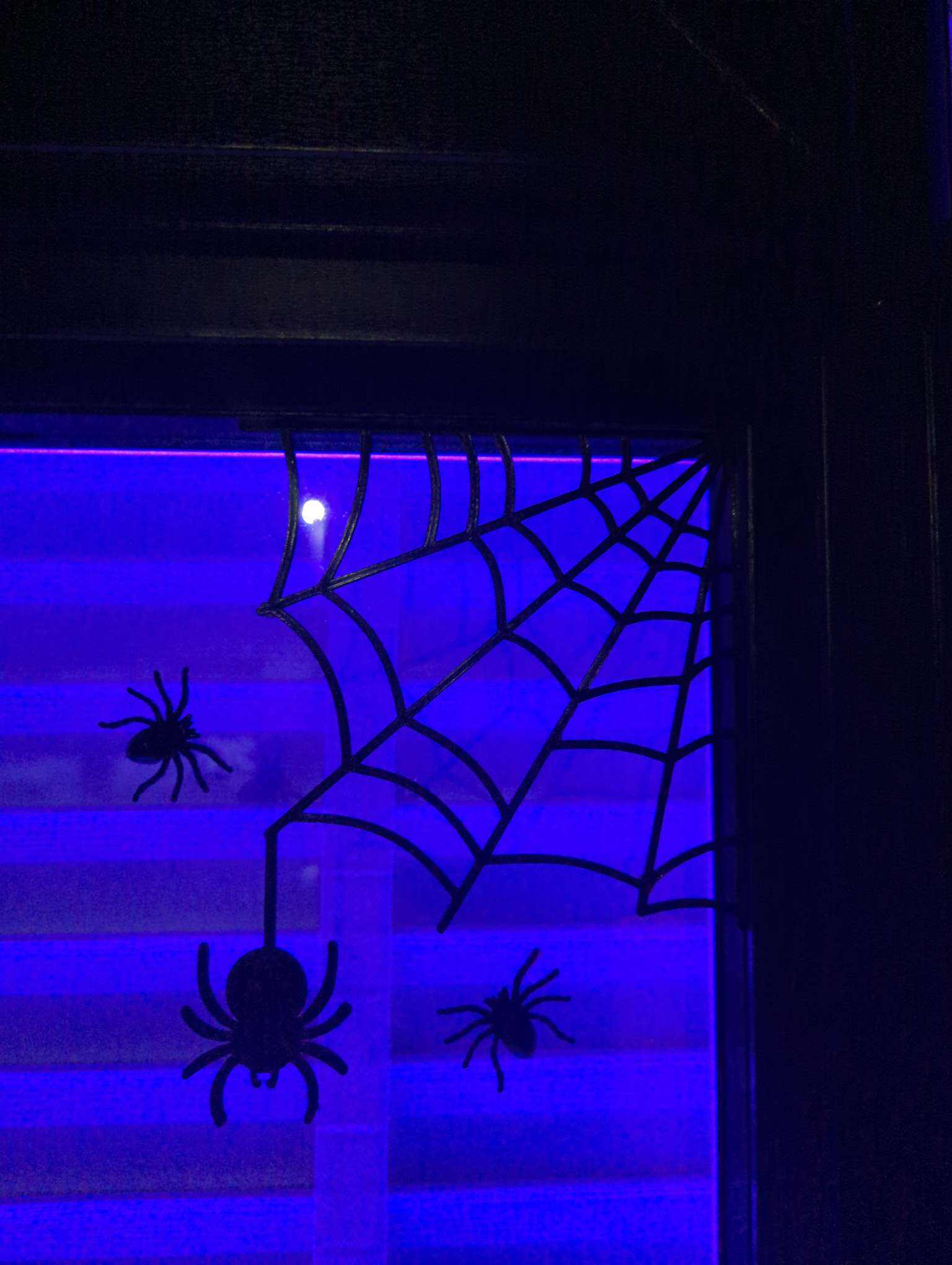 Corner web with spider