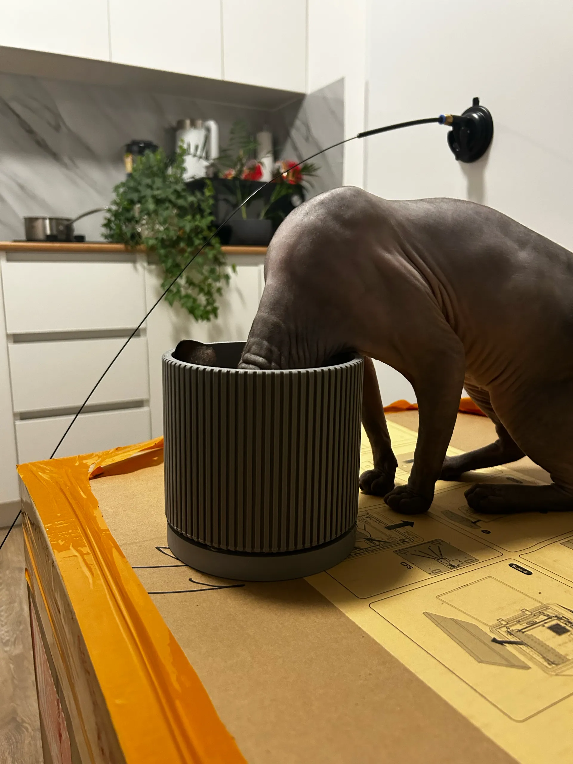 Flower pot-1
