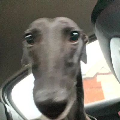 N00dle