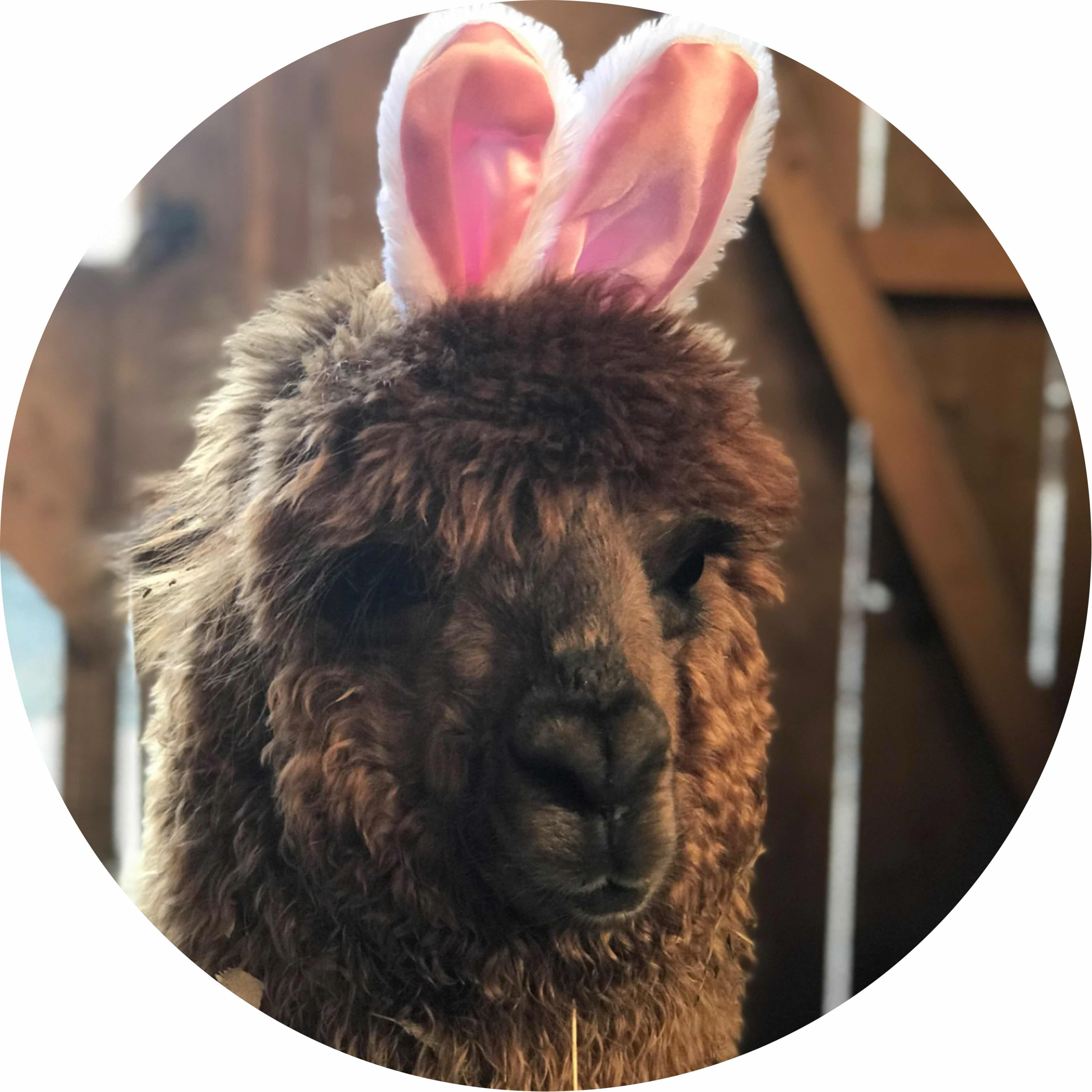 avatar of ClaireMcHardy