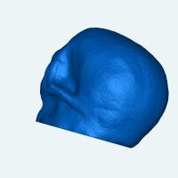 skull of illu-1
