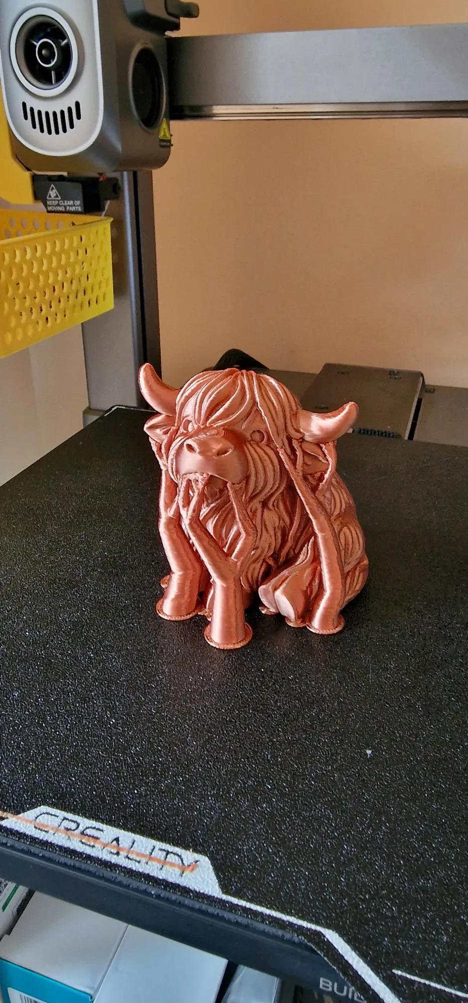 Chonky Highland Cow – Shaggy Horned Cutie-5