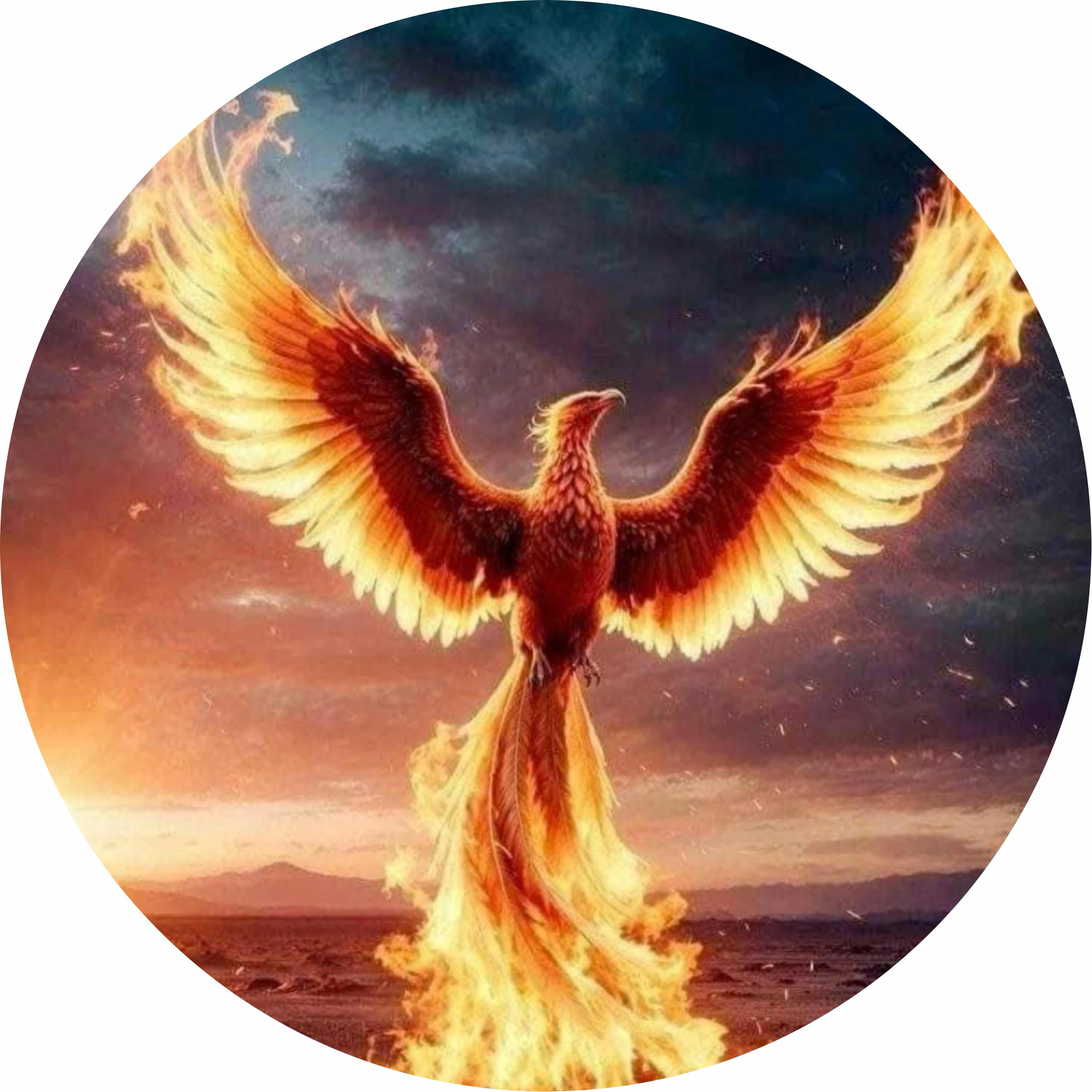 avatar of 3D to Life