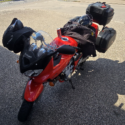 avatar of Spej Gamer