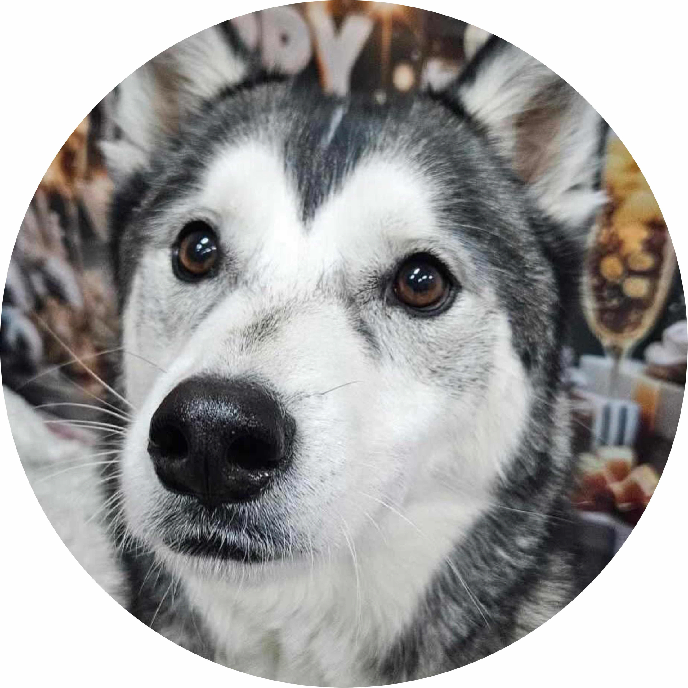 avatar of Jesse Atkinson