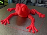 FlexFrog-1