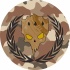 avatar of Jek_jeelaider04