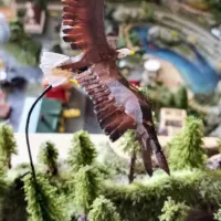 Plain white eagle-1