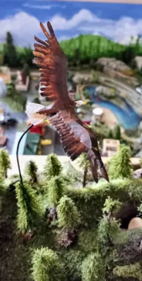 Plain white eagle-1