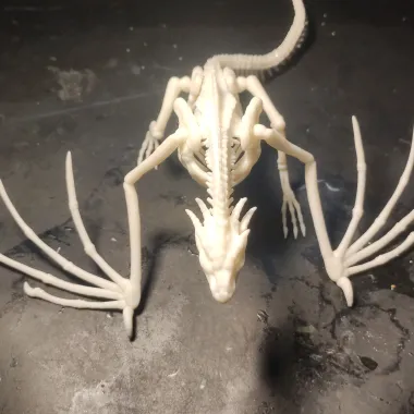 Dragon Esqueleto-1