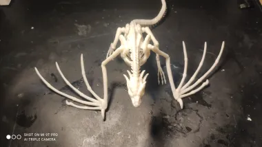 Dragon Esqueleto-1