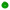 apripista