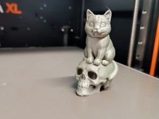 Skull on cat