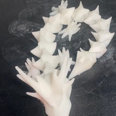 'HORNY DRAGON' - PRINT-IN-PLACE, ARTICULATED DRAGON-1