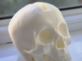 Skull -1