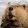 avatar of BeaverGuy