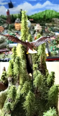 Plain white eagle-0