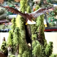 Plain white eagle-0