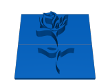 fleur-0
