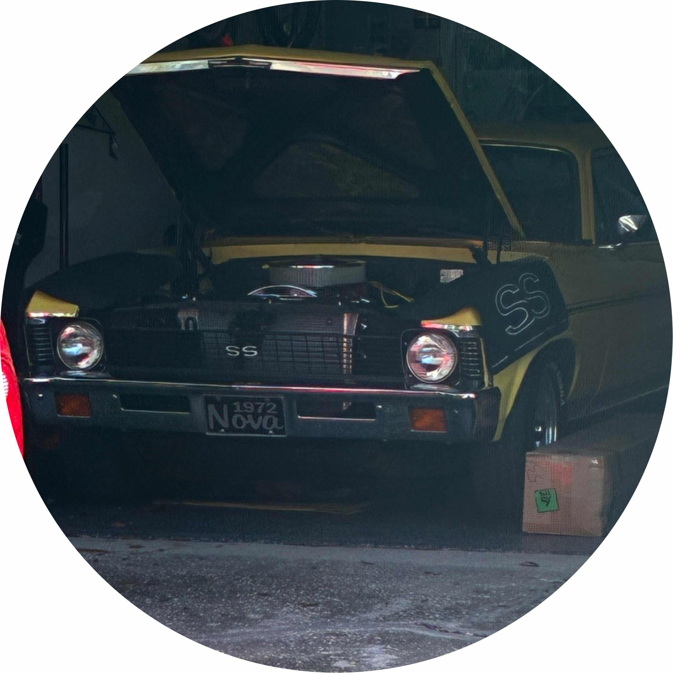 avatar of Chevy_nova_ss