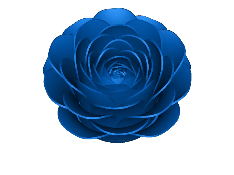 rose3